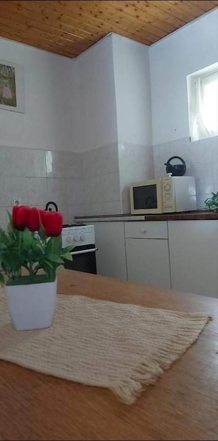 Visszavar-Lak Privat Berlemeny Badacsonytomaj Zewnętrze zdjęcie